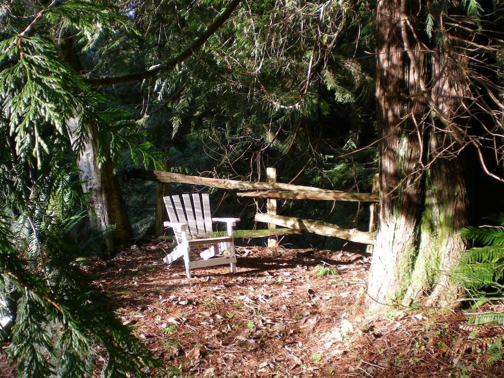 Davis Brook Retreat Bed & Breakfast Sechelt Exterior photo